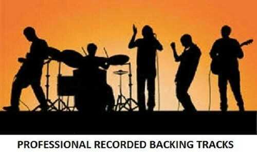 THE ANIMALS PROFESSIONAL RECORDED BACKING TRACKS