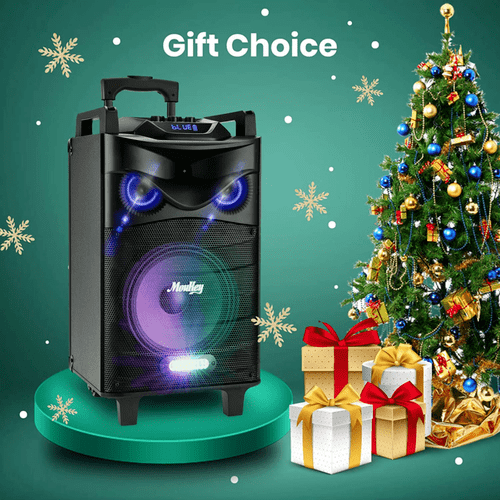 Moukey Portable PA Speaker System Bluetooth Karaoke Machine Peak Power 540W 10