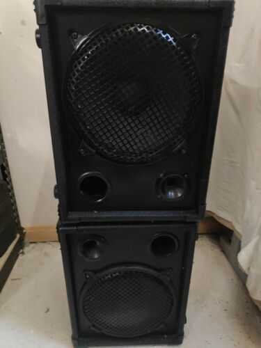 2 X Dj subwoofers