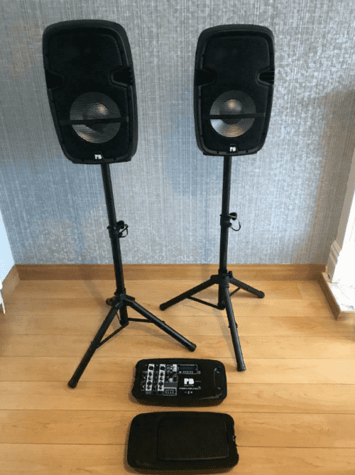 DJ/Party Speakers