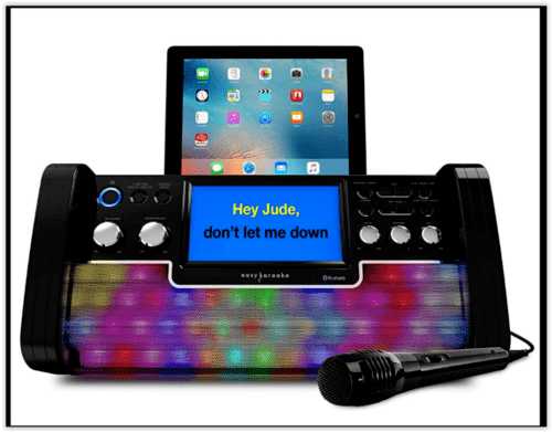 Professional Karaoke Machine System Kareoke Party Microphones Bluetooth CD Discs