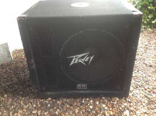 peavey bass bin used