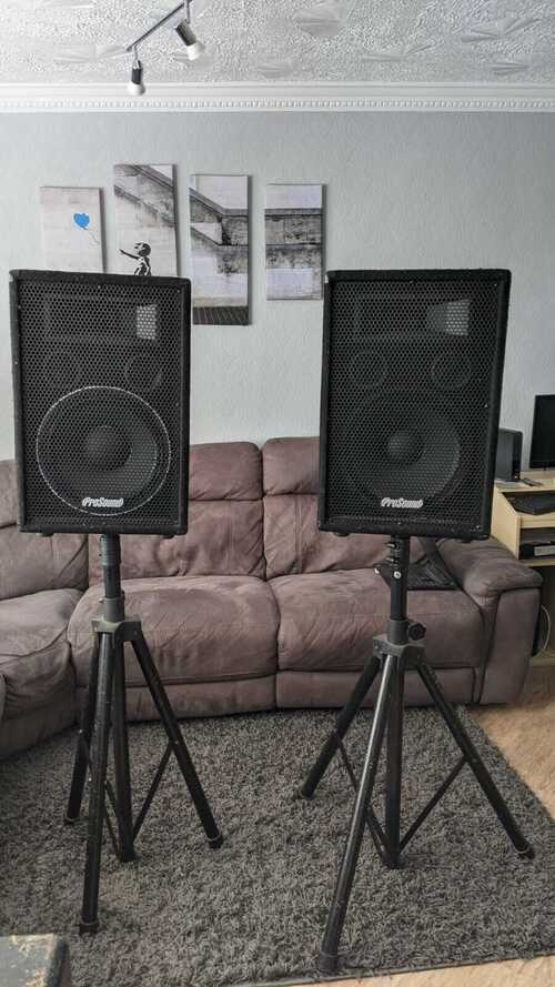 Pair of ProSound 400W 12