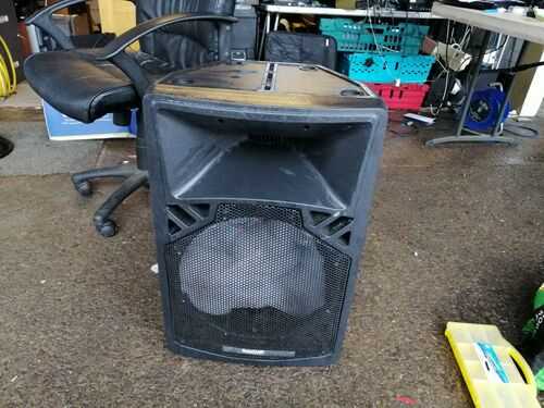 Soundlab G592/5Y-15VA active speaker cab w/ horn  (417)